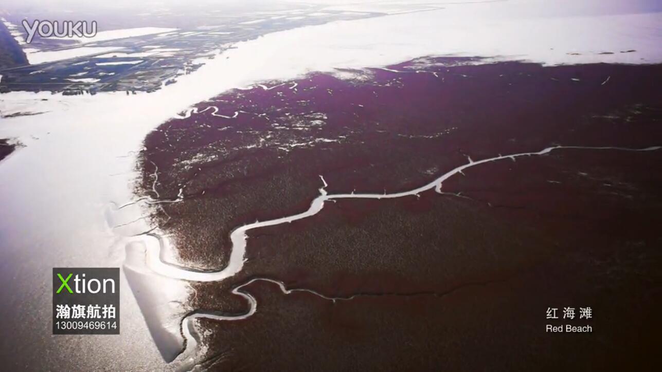 辽宁红海滩航拍